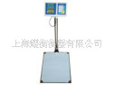 ʡ硷̨˹ӼƼ۳ӵӳ150kg/20g