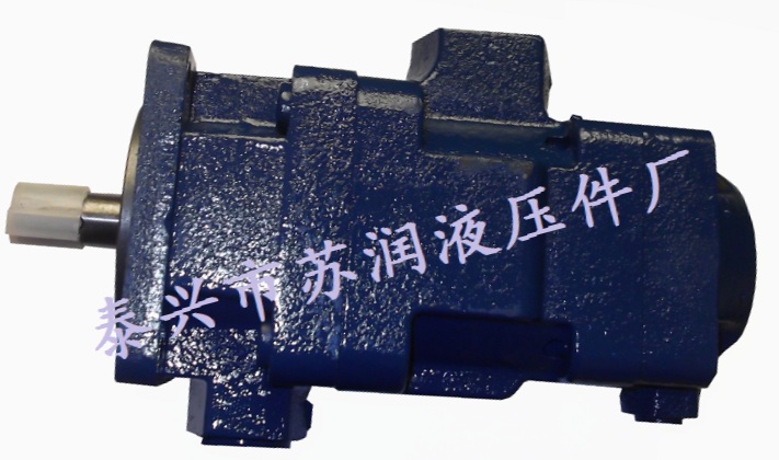 YB1˫ֱ