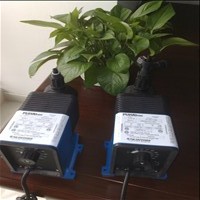 ڼMS1A065C
