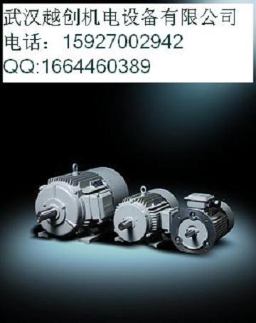 1LG0220-4AA70-ؼ
