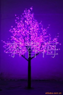 ˮledһ