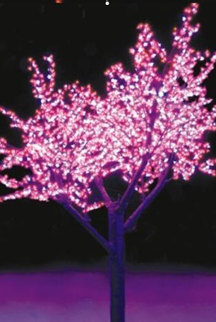 LEDLED