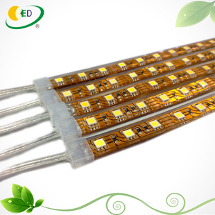 5050LEDƴ