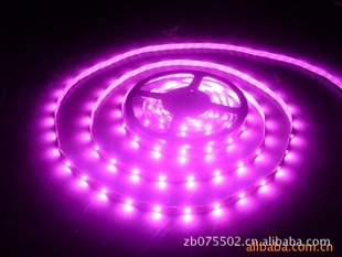 LED505030/48/60ÿ״ʵݳ۸ͺ