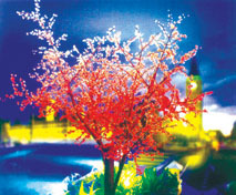 2mӣƣֱӳۣ٣LED