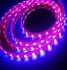LEDLEDװεơֱɶ١