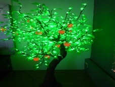 LEDƾ۵