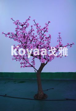 Ƴ
