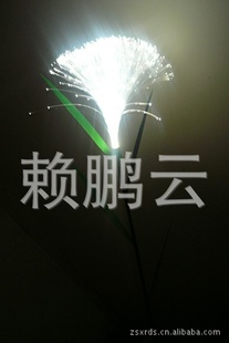 ֱled«έ1
