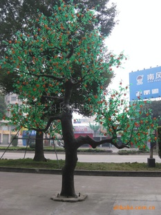 LEDơƾߡƾ