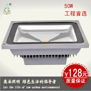 220V50WLEDͶͶǽ԰ˮƾ