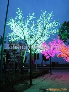 LED۵