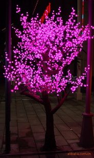LEDӣ