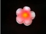 LED÷LEDװ÷