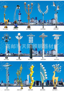 天阳照明景观灯多种类型的道路灯厂家直销