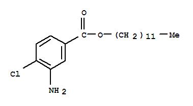 3--4-ȼʮ