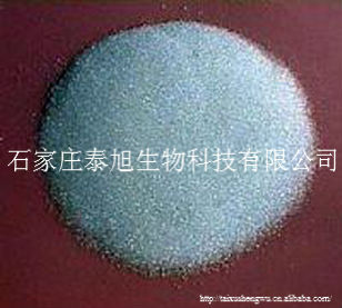 Ӧ뾫ʯ58-60ʯׯ̩