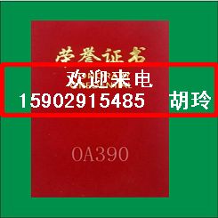 飬飬