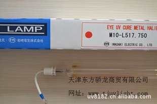 ձEYEƹGSMAP500NLƹ
