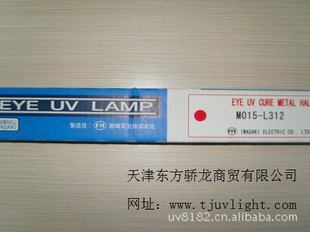 ձEYEƹM015-L312UVƹ