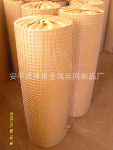 Ĩǽ˿п纸