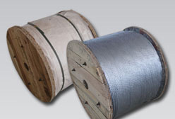 пֽ73.0mm