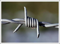 ݴȶпߴ˿̹޼߾ô