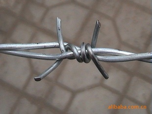 12#п߷