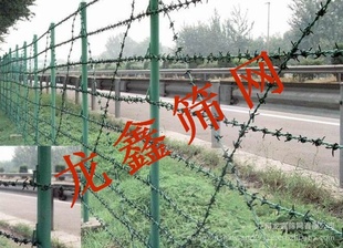 пֻ߰