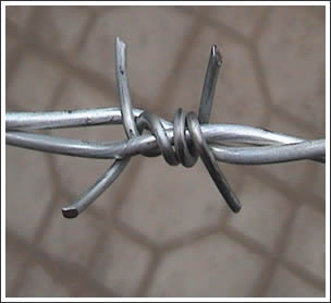 ݴߴ˿̹޼пܴ