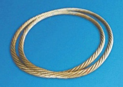 ڸָ˿/304ְ˿