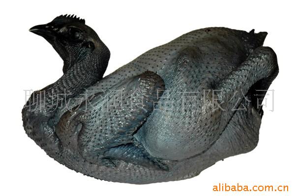 ڼ