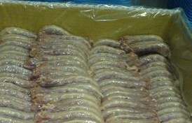 ԴʳƷ䶳ģӣ