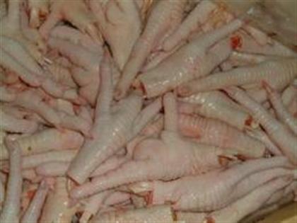 ڼצ