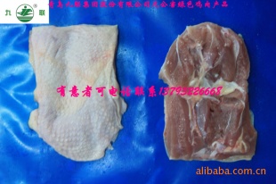 ȥϵ13793226668ȥ