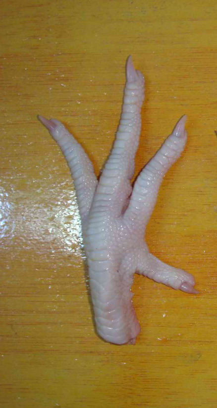 Ӧ䶳ţǡǡצצ
