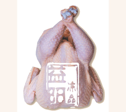 䶳װƼƷ