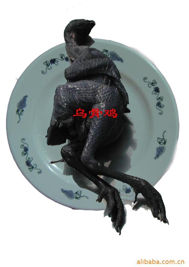 ڹǼ----
