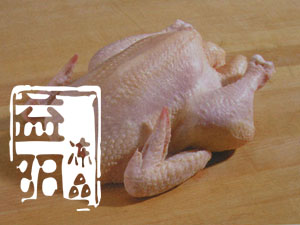 ۻ䶳䶳ȼ