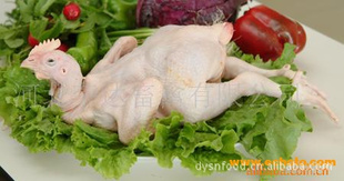 ǴʥũʳƷ޹˾ṩƼ