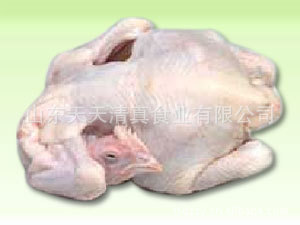 ȶװ