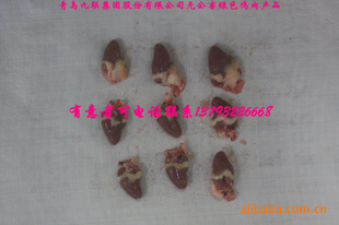 ķĲƷϵ13793226668