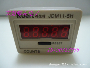 RUERTʽJDM11-5H