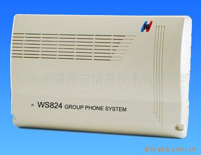 WS824(9)A͹