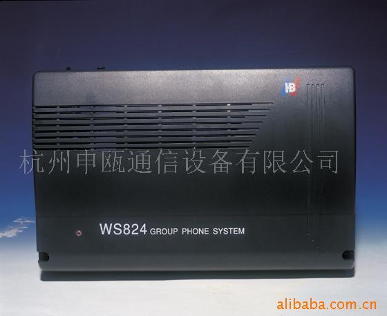 WS824(10D)ּ