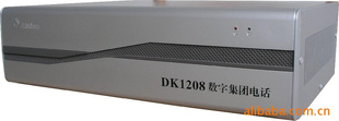 DK1208-100S1ּŽ