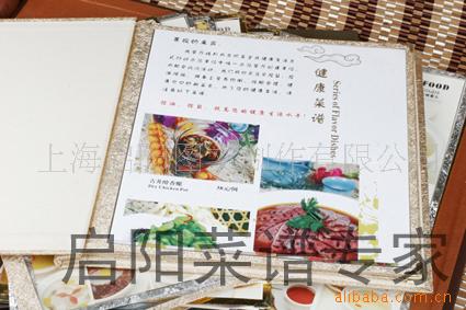 C系列插片-10C透明夹条精装插册A尺寸