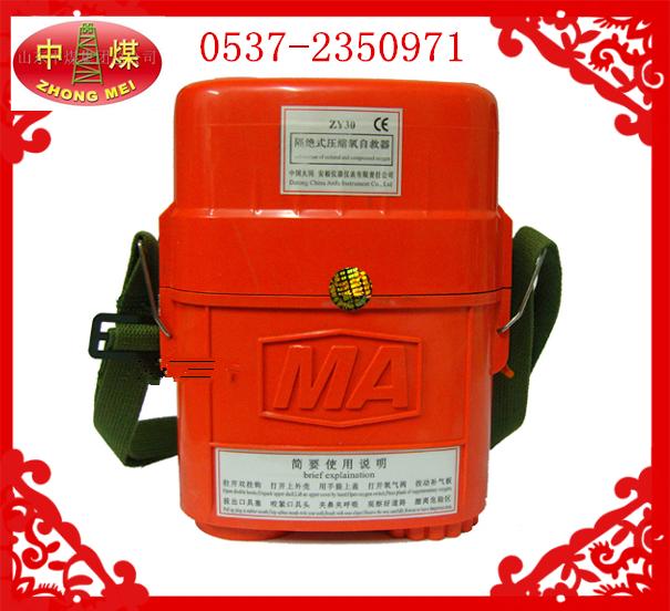 ZYX30ʽѹԾСô
