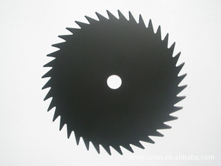 40tݻƬ