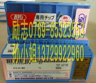 ձԭװBIGƬTCGT110204FN-H1